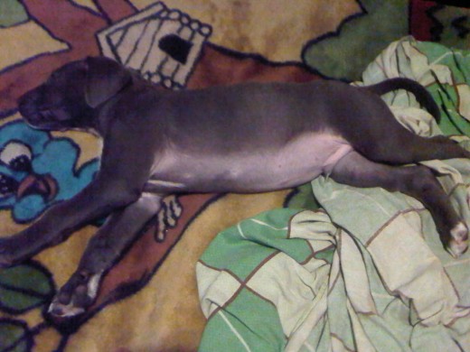 Sleep On 